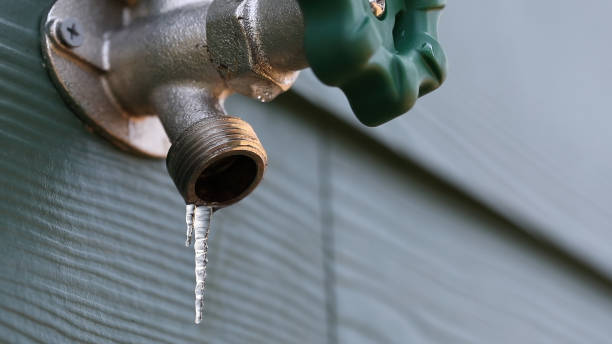 Best Leak Detection Services  in North Hudson, WI